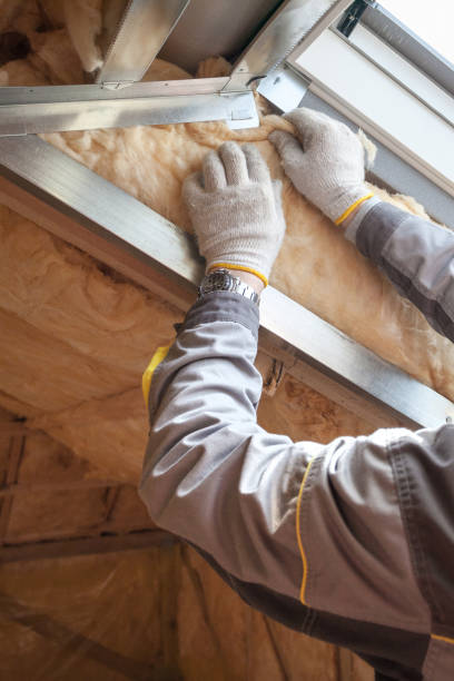 Insulation Repair Services in Clearfield, UT